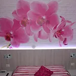 Paradiso Отель